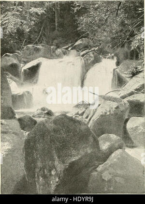 Im Kiefer Dschungel - ein Handbuch für Sportler und Camper in der großen Maine woods (1902) Stockfoto