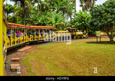 Ananas Express-Zug an der Dole Plantation, Wahiawa, Oahu, Hawaii. Stockfoto