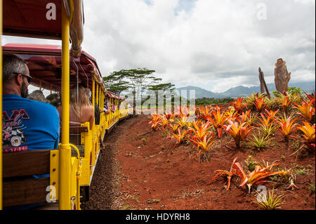 Ananas Express-Zug an der Dole Plantation, Wahiawa, Oahu, Hawaii. Stockfoto