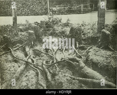 Diese Zeitschrift, die vom Ottawa Field-Naturalists' Club veröffentlicht wurde, behandelt eine breite Palette von Themen rund um die kanadische Flora, Fauna und Naturgeschichte. Es enthält Forschungsartikel, Feldnotizen und Beobachtungen zu Wildtieren und Ökosystemen in Kanada. Stockfoto