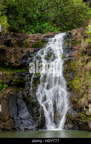 Waimea Falls, Waimea Valley Audubon Park, North Shore, Oahu, Hawaii. Stockfoto