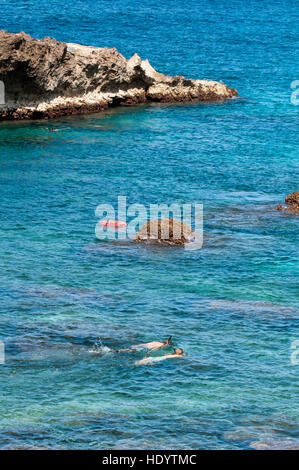 Schnorcheln Haleiwa Strandpark, North Shore, Oahu, Hawaii. Stockfoto