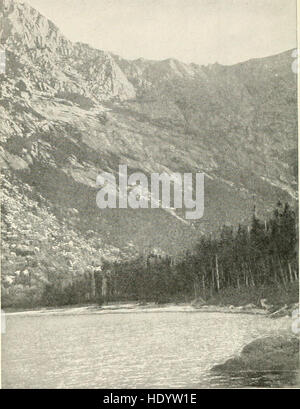 Im Kiefer Dschungel - ein Handbuch für Sportler und Camper in der großen Maine woods (1902) Stockfoto