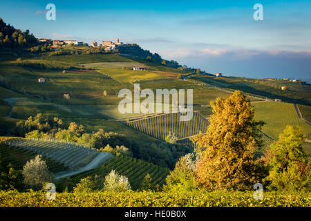 Herbst abends Sonnenlicht auf die Weinberge in der Nähe von Barolo mit Stadt La Morra, Piemont, Italien Stockfoto