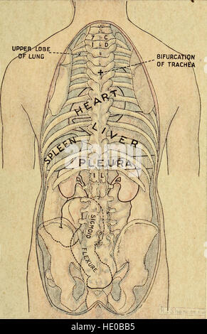 Veröffentlicht im Jahr 1917, Dr. Evans' 'How to keep Well' bietet Gesundheitstipps und Wellness-Tipps. Sie konzentriert sich auf praktische Anleitungen zur Aufrechterhaltung des körperlichen Wohlbefindens durch angemessene Hygiene, Ernährung und Bewegung. Stockfoto