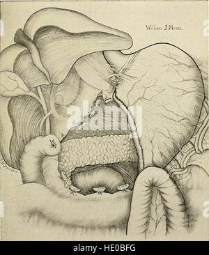 Ein neues Handbuch der Chirurgie, zivilen und militärischen (1917) Stockfoto