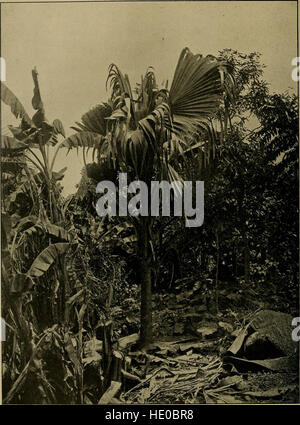 Journal of the Bombay Natural History Society (1913) Stockfoto