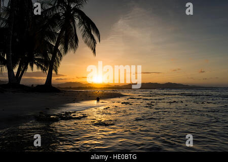 Blick auf einen Strand mit Palmen bei Sonnenuntergang in Puerto Viejo de Talamanca, Costa Rica, Zentralamerika; Konzept für Reisen in Costa Rica Stockfoto