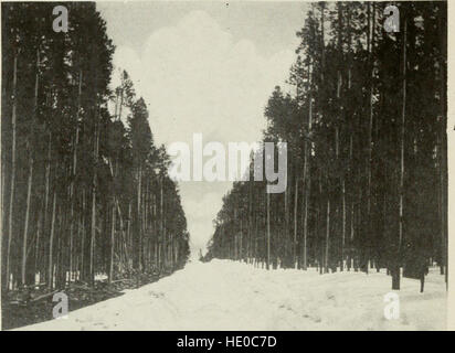 Der Yellowstone Nationalpark, historische und beschreibende, illustriert mit Karten, Ansichten und Porträts (1905) Stockfoto