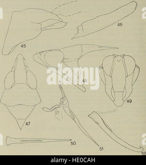 Das *Bulletin of the British Museum (Natural History) Entomology Supplement* (1974–1975) veröffentlicht Forschungsergebnisse und Studien zur Entomologie, die Insektenarten, ihre Lebensräume und ökologische Rollen abdecken. Stockfoto