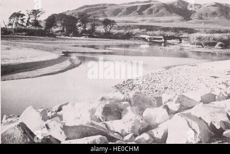 Botanische Ressourcen an Emma Holz State Beach und die Flussmündung Ventura, Kalifornien - Inventar und Management - Bericht zum Zustand des California Department of Parks und Erholung - von Wayne R. Stockfoto