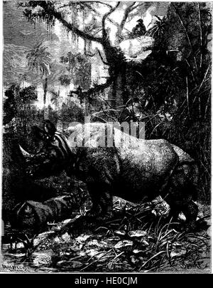 Eine umfassende Erkundung von Tierarten aus aller Welt, basierend auf Brehms detaillierten Studien. Das 1895 erschienene Buch bietet Einblicke in die Biologie, das Verhalten und die Lebensräume verschiedener Tiere. Stockfoto