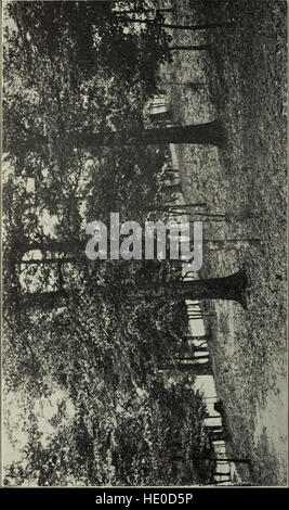 Jahreskatalog der East Carolina Lehrer Training School (1909) Stockfoto