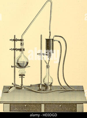 Klinische Diagnose - bakteriologische, chemischen und mikroskopischen Nachweis der Krankheit (1899) Stockfoto