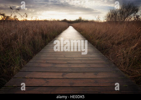 Cosmeston-See-Promenade Stockfoto