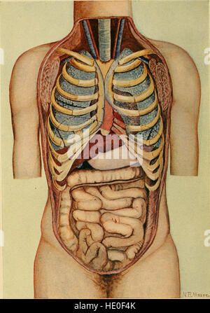 Krankheiten des Herzens und der arteriellen System - entwickelt, um eine praktische Präsentation des Themas für den Einsatz von Studenten und Praktiker der Medizin (1907) Stockfoto