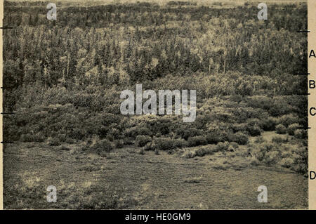 *The Canadian Field-Naturalist* (1969) ist eine wissenschaftliche Zeitschrift, die Forschungen zur Flora, Fauna und Ökosystemen Kanadas veröffentlicht und sich auf Naturgeschichte, Naturschutz und ökologische Studien konzentriert. Stockfoto