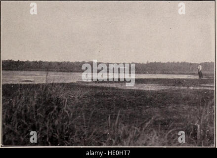 Unsere Suche nach einer Wildnis; Rechenschaft über zwei ornithologische Expeditionen in Venezuela und in Britisch-Guayana (1910) Stockfoto