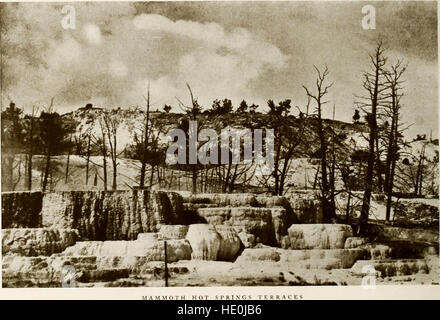 Yellowstone Parkwald und Trail Camp - für Jungen und junge Männer (1921) Stockfoto