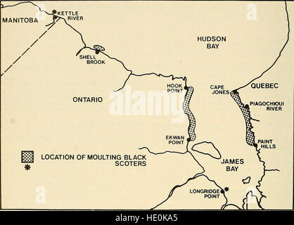 Die 1983 erschienene Ausgabe von *The Canadian Field-Naturalist* ist eine Zeitschrift, die sich der Erforschung der kanadischen Tierwelt und Ökosysteme widmet. Es enthält Artikel über Flora, Fauna und Naturgeschichte in Kanada. Stockfoto