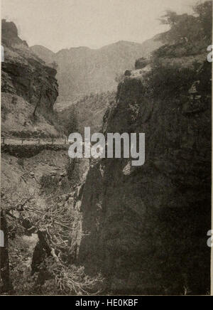 Touren in den Yellowstone Park und Pazifikküste - 3 Juli, August 6, 3. September 1906 (1906) Stockfoto