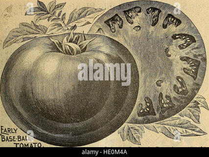 Childs seltene Blumen, Gemüse und Obst (1917) Stockfoto