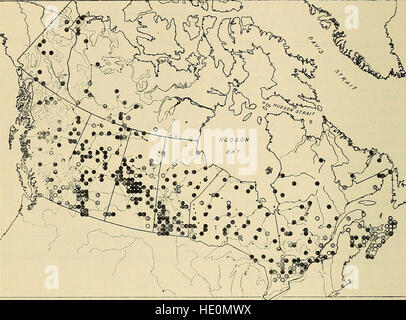 Der kanadische Feldnaturforscher (1943–1944) konzentriert sich auf die Erforschung der kanadischen Tierwelt und Naturgeschichte und bietet Forschungen und Artikel zu Arten, Ökosystemen und Naturschutzbemühungen an. Stockfoto