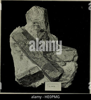 Eine beliebte Anleitung zum Mineralien - mit Kapiteln über die Bement Sammlung von Mineralien im American Museum of Natural History und die Entwicklung der Mineralogie (1912) Stockfoto