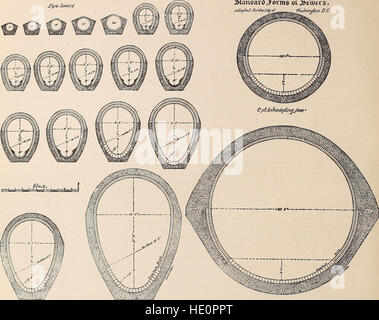 Sanitär News - gesunde Häuser und gesund Leben - eine wöchentliche Zeitschrift für sanitäre Wissenschaft (1886) Stockfoto