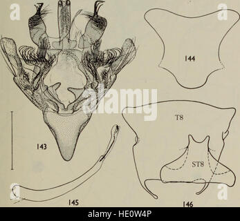 Das 1968 erschienene Bulletin of the British Museum (Natural History) widmet sich der Entomologie und bietet aktuelle Informationen über Insektenforschung und Entdeckungen. Es umfasst detaillierte Untersuchungen über verschiedene Insektenarten und ihre ökologische Rolle. Stockfoto