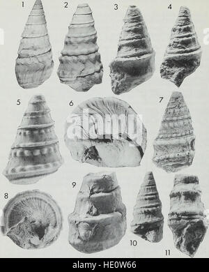 Bulletin des British Museum (Natural History), Geologie (1988) Stockfoto