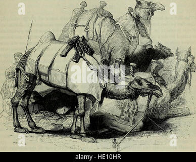 Palästina - die physische Geographie und Naturgeschichte des Heiligen Landes (1841) Stockfoto