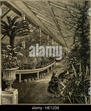 Fenster, Gartenarbeit - speziell gewidmet die Kultur von Blumen und Zierpflanzen für Nutzung und Salon Innendekoration (1872) Stockfoto