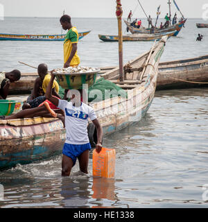 Junge Afrikaner in Tombo, Sierra Leone, tragen große Schale mit Fisch vom Schiff an Land Stockfoto