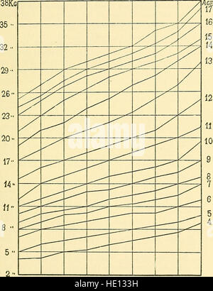 Handbuch der psychischen und physischen Tests - ein Buch von Richtungen zusammengestellt unter besonderer Berücksichtigung der experimentellen Untersuchung der Schülerinnen und Schüler im Labor oder im Klassenzimmer (1914) Stockfoto