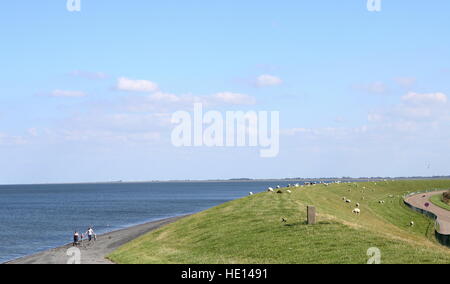 Oben auf dem Deich am Wattenmeer-Küste in der Nähe von Lauwersoog, Friesland, Niederlande Stockfoto