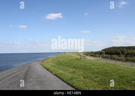 Wattenmeer Küste in der Nähe von Lauwersoog, Friesland, Niederlande, Meer am linken, Wald auf rechten Seite. Stockfoto