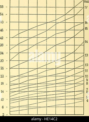 Handbuch der psychischen und physischen Tests - ein Buch von Richtungen zusammengestellt unter besonderer Berücksichtigung der experimentellen Untersuchung der Schülerinnen und Schüler im Labor oder im Klassenzimmer (1914) Stockfoto