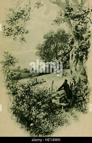 Das Gesamtwerk von Percy Bysshe Shelley (1904) Stockfoto
