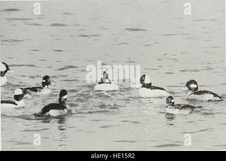 Brutvögel der Ontario - Nidiology und Verteilung (1983) Stockfoto