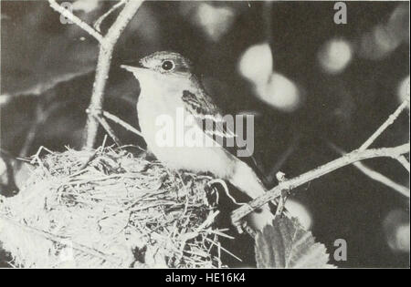 Brutvögel der Ontario - Nidiology und Verteilung (1983) Stockfoto
