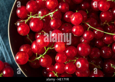 Rohe Bio rote Johannisbeeren in eine Schüssel geben Stockfoto