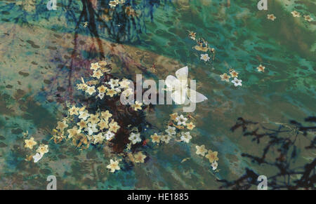 Schmetterling und Blumen schwimmt auf der Wasseroberfläche des Teiches. Moody, Grunge, Aquarell strukturiertes Bild Stockfoto