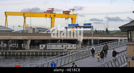 Harland & Wolff gelb Krane, Samson und Goliath, über Belfast, NI (von Krupp) Stockfoto