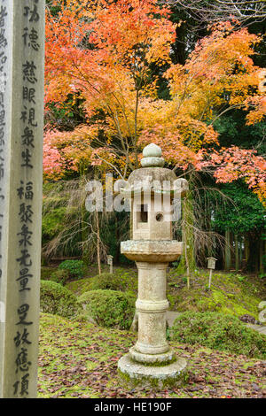 Farben des Herbstes am Daigo-Ji-Tempel, Kyoto, Japan Stockfoto