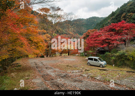 Herbst Farben in den Bergen Arashiyama Kiyotaki, Kyoto Präfektur, Japan Stockfoto