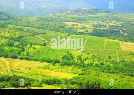 Weinkulturlandschaft in Istrien, Kroatien Stockfoto