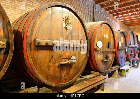 Fässer im Keller, Antica Cantina San't Amico Weingut, Morro D'Alba, Marche, Italien Stockfoto