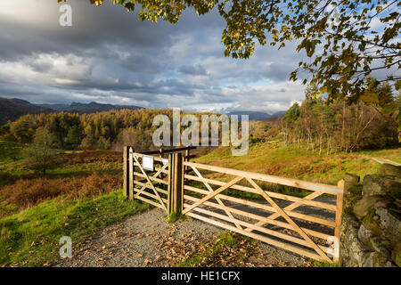 Hölzerne Tor in einer wunderschönen ländlichen Umgebung am Tarn Hows, Lake District, England. Stockfoto