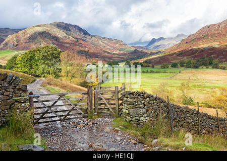 Hölzerne Tor in Little Langdale, Lake District, England.die Langdale Pikes kann im Hintergrund zu sehen. Stockfoto